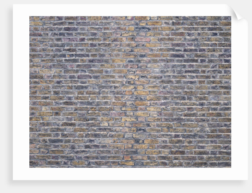 Brickwall by Assaf Frank